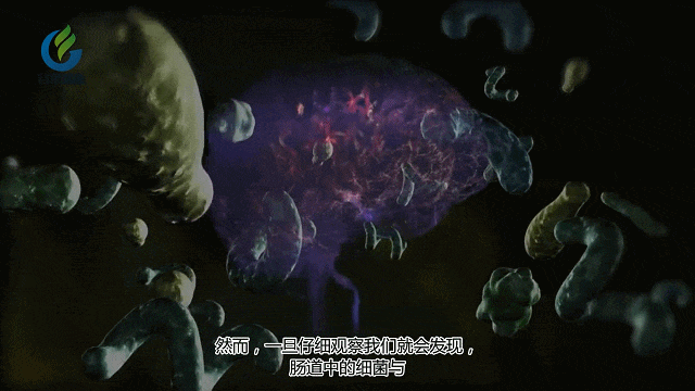 4.gif