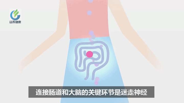 5.gif