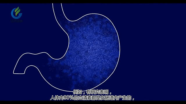 8.gif